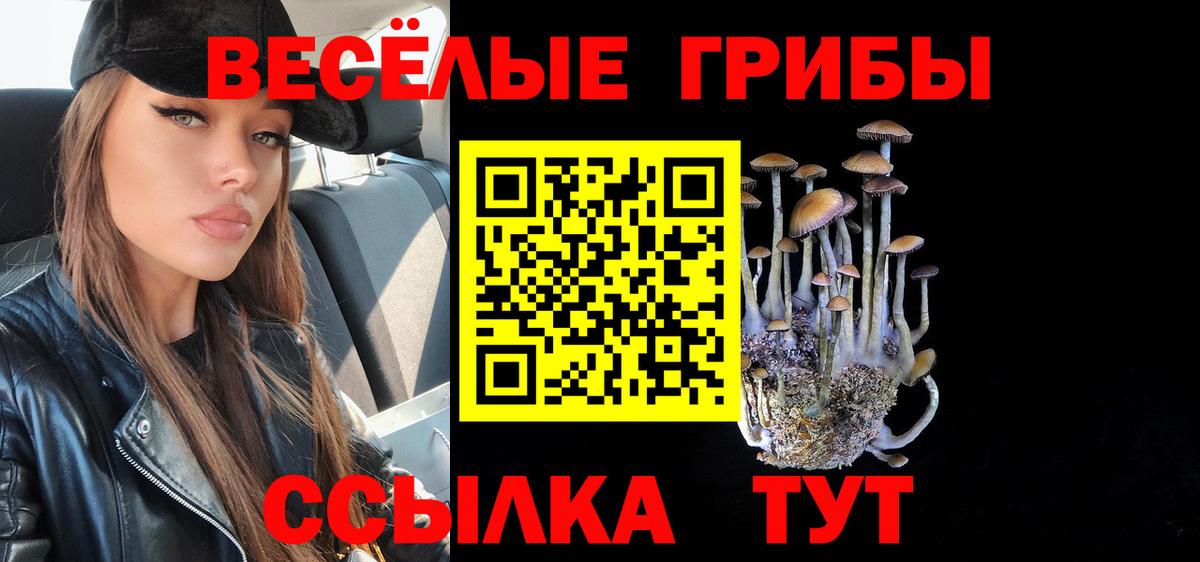 Галлюциногенные грибы Cubensis Каменск-Уральский